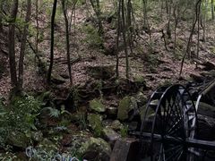 -昆明青龙峡风景区