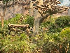 -石排湾郊野公园
