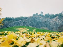 -上海辰山植物园