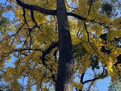 -抗战胜利纪念堂博物馆