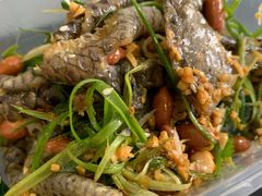 -无影脚佛山陈氏盲公丸始创店(飞鸿街店)