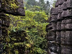 -梭布垭石林景区