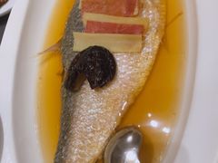 老酒蒸鲥鱼-望乡楼上海菜(日月光店)