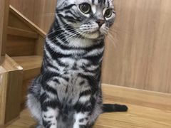 -藦茜花园宠物主题亲子互动体验馆(国顺东路店)