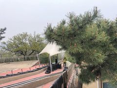 -富斯特索道