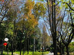 -荔香公园