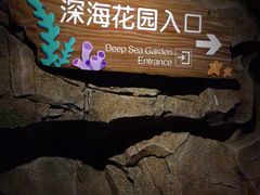 -芜湖新华联大白鲸海洋公园