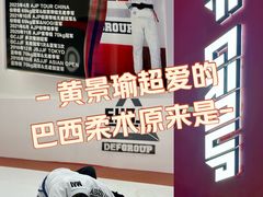 -DEFGROUP·巴西柔术·拳击·摔跤(世纪大道馆)