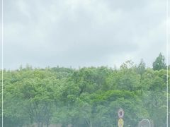 -上海佘山世茂艾美酒店