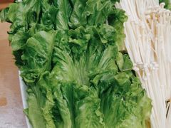 -湯系·煲汤手艺人(东二环泰禾广场店)