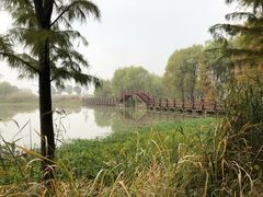 -长兴太湖图影湿地文化园