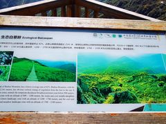 -野三坡百草畔景区