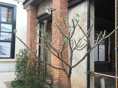 -百益上河城