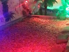 -青藤汗蒸时代会所