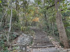 -紫金山山顶公园