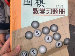 -中国福利会少年宫