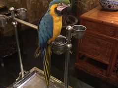 -那家小馆•北京菜•烤鸭(中关村店)