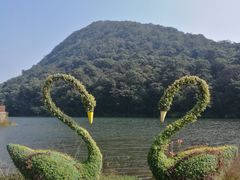 -广州市石门国家森林公园