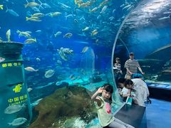 -海合安武汉极地海洋公园