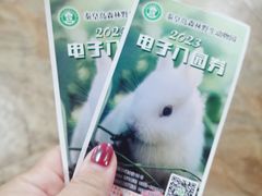 -秦皇岛野生动物园