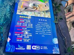 -合肥海洋世界