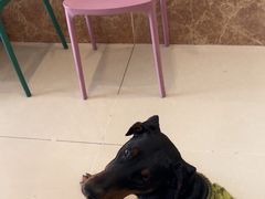 -美联众合24小时·皮肤科·外科·全科诊疗中心(华苑分院)
