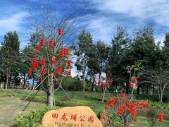 -回龙埔公园