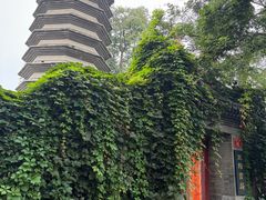 -正阳书局(西四南大街店)