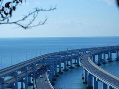 -星海湾跨海大桥