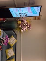 -静博士·养生养颜