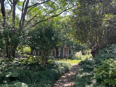 -中共上海市委党校 上海行政学院