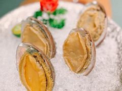 手工冰镇鲍鱼-木棉·醉心粤味(COCO Park店)