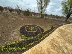 -泗洪洪泽湖湿地景区