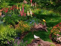 -上海共青森林公园