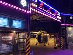 -枫花园汽车电影院(朝阳公园店)