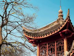 -南山植物园