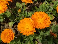 -河海大学(常州校区)