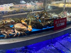 -小螺号海鲜·地道鲁菜(省体总店)