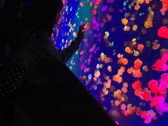 -成都浩海立方海洋公园