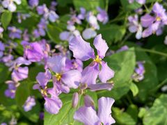 -T80科技文化国际社区-停车场