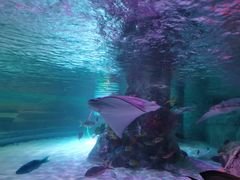 -沈阳海洋探索中心