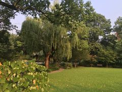 -申粤轩酒楼·三十年粤菜经典(丁香花园店)