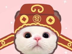 -小满手工粉(上海文峰广场店)