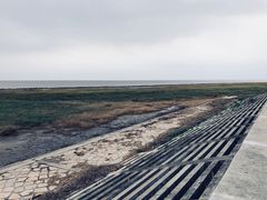 -南汇嘴观海公园