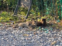 -DGE季风钓虾营地·团建·聚会