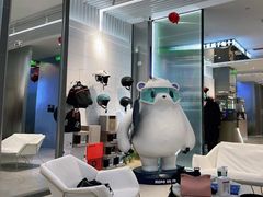 -Hopo Snow 城市滑雪空间(滨江宝龙城店)