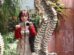 -六阅·福十 FORTEN 海景咖啡西餐厅(双廊古镇店)