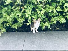 -南丰汇(新港东路店)