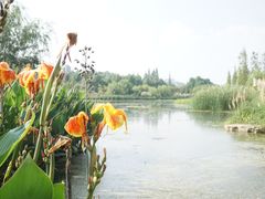 -贵阳市花溪国家城市湿地公园