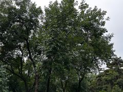 -元大都城垣遗址公园